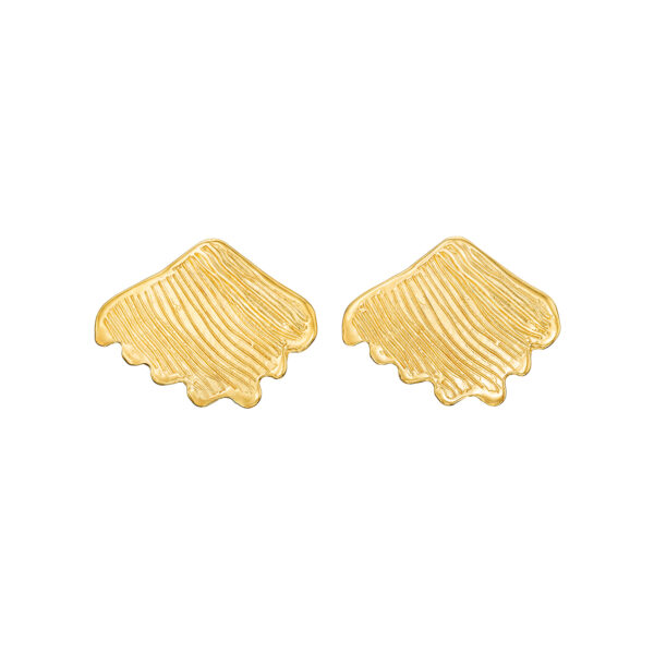 Shell Earrings